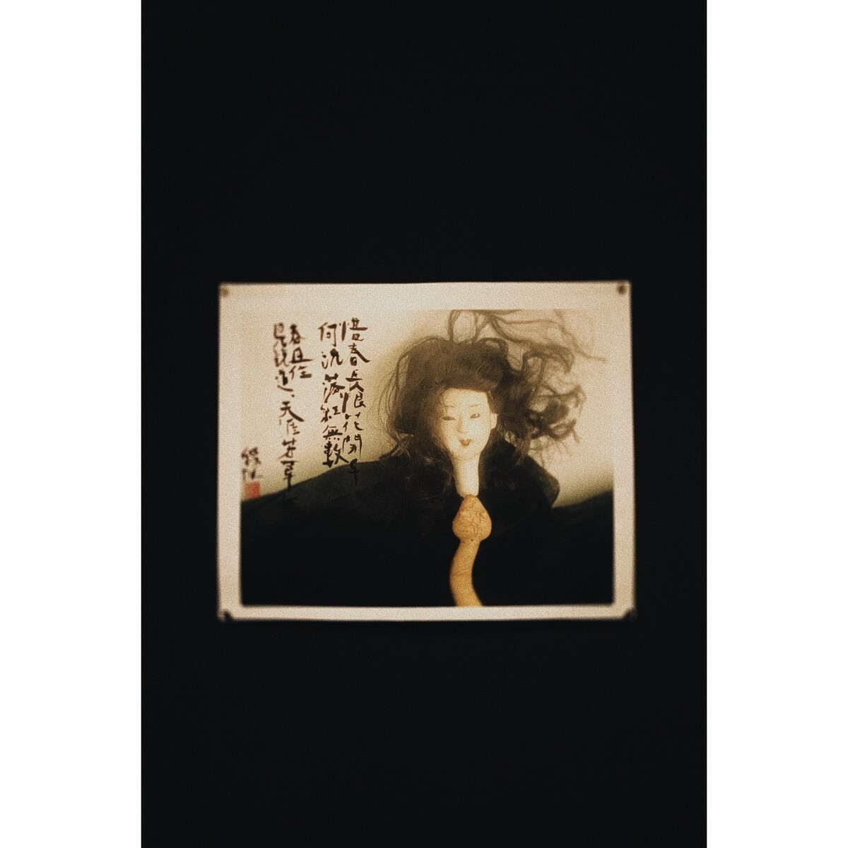 荒木经惟摄影展 - 天才_大叔