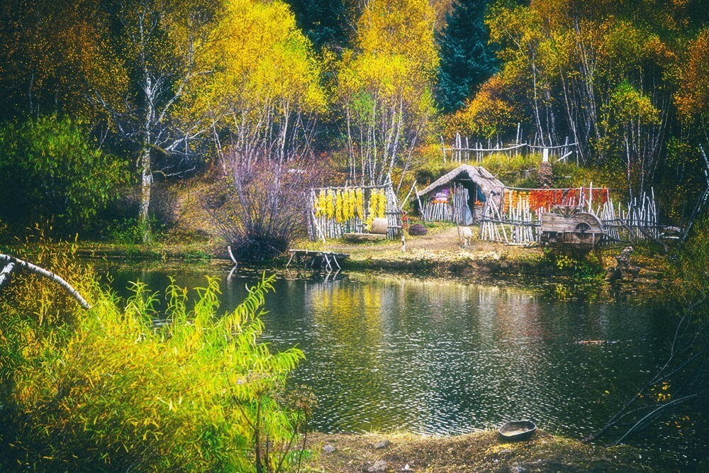 山林有人家