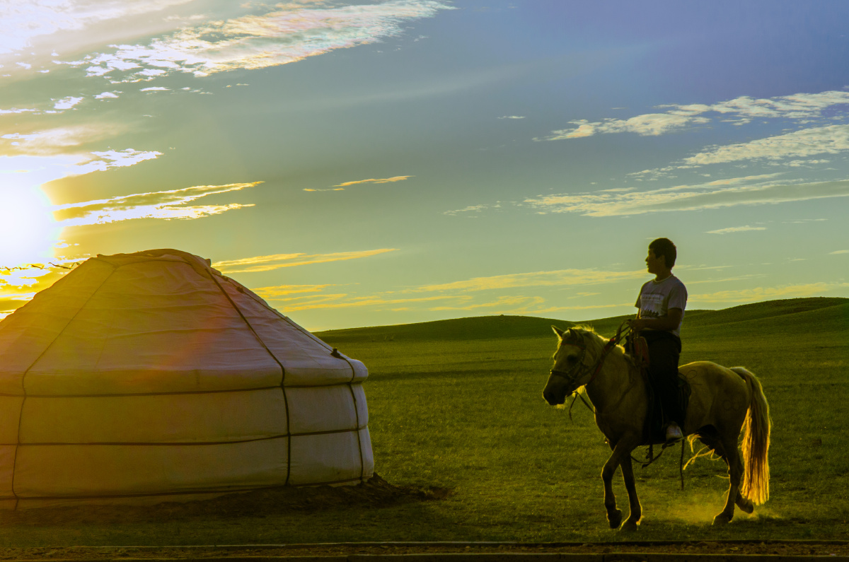 本人是内蒙古包头市达茂旗牧民,想卖出去自己家的羊,没有有检疫证啥的只能搞零售有平台么?