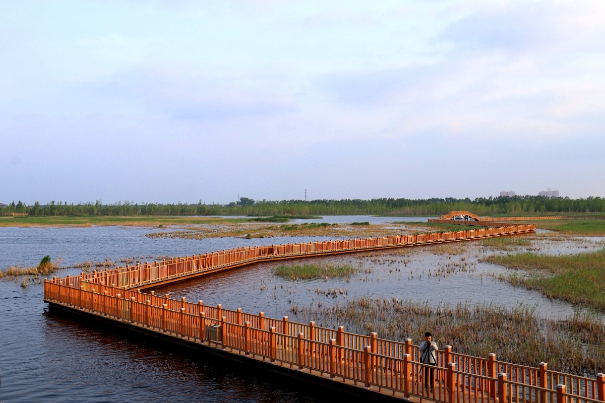 白洋淀长廊