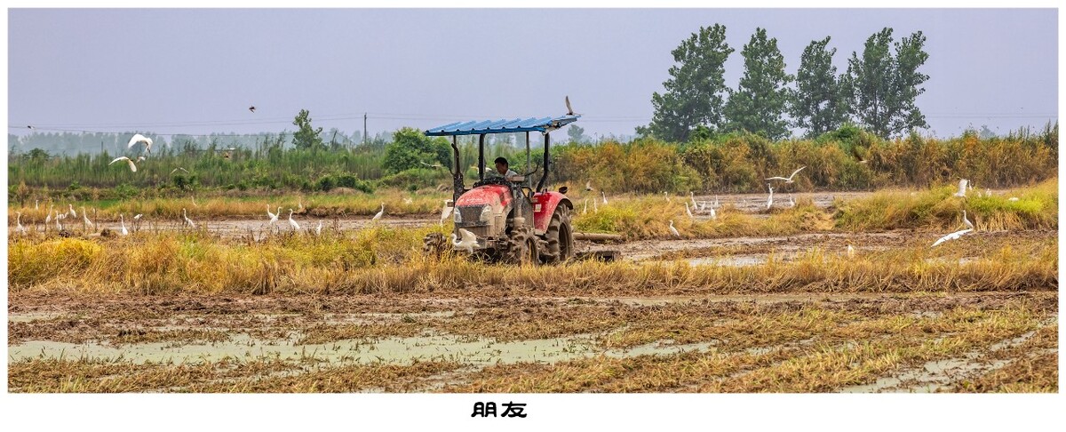 恒湖农场