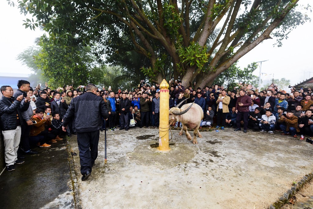 西双版纳傣族祭祀勐神