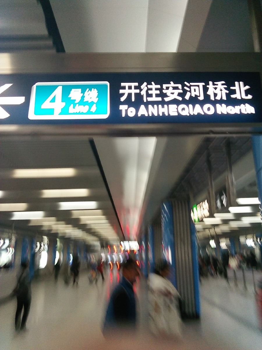 10897637.jpg