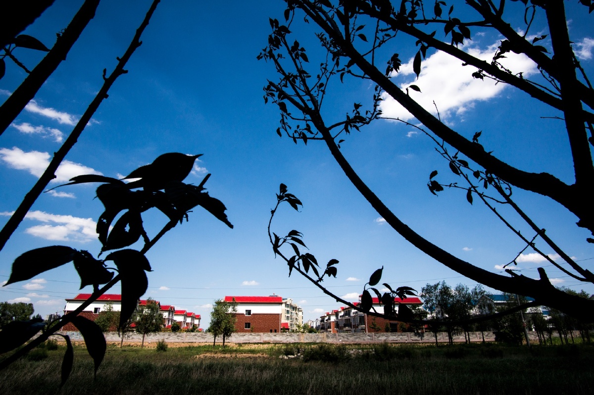 关注图片_纵览新闻