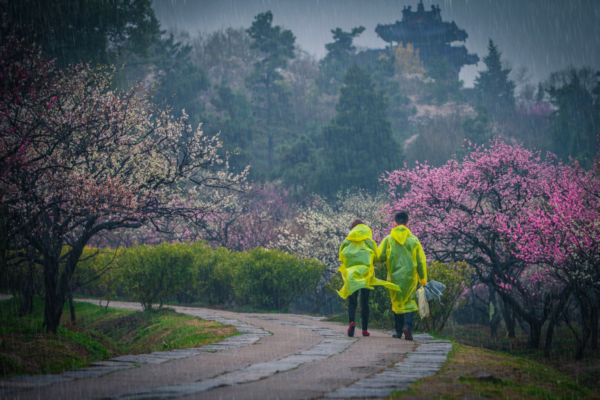 雨中漫步_在雨中漫步_雨中漫步图片