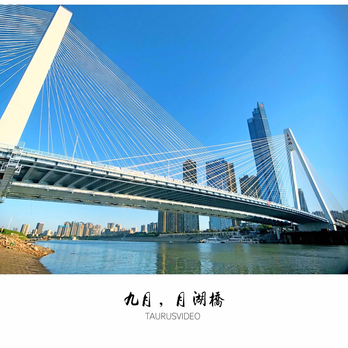 武汉月湖桥夜景