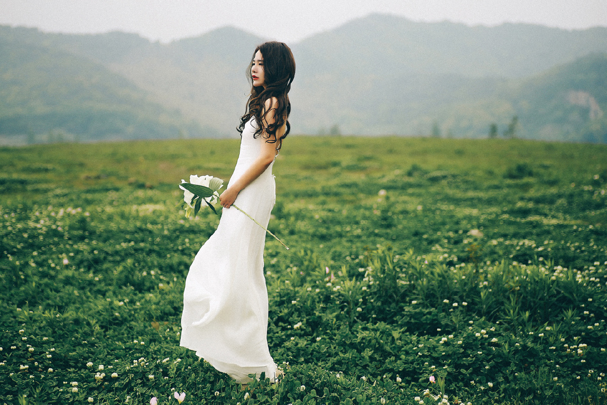 杨七妹剧情介绍