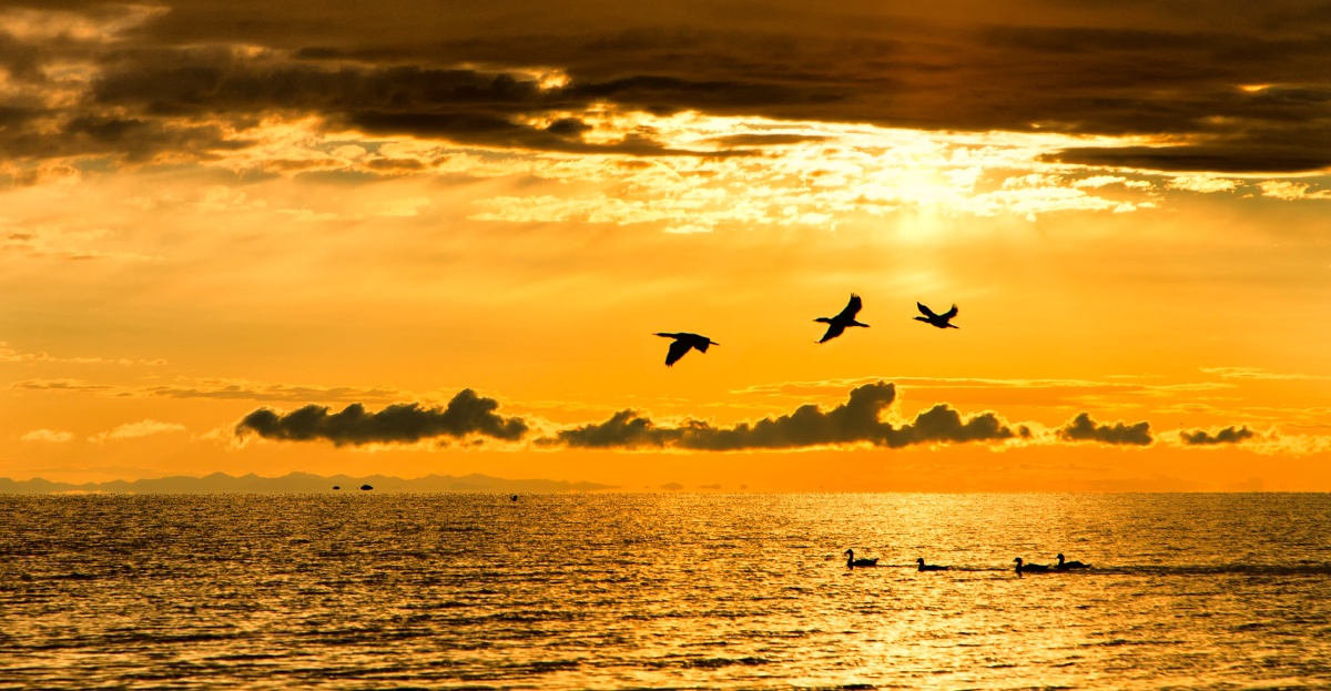 奄也去色孤资源网