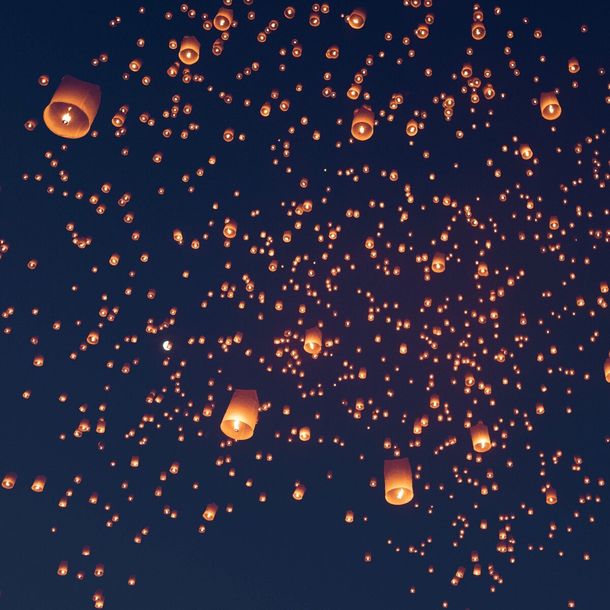 为你明灯三千为你花开满城