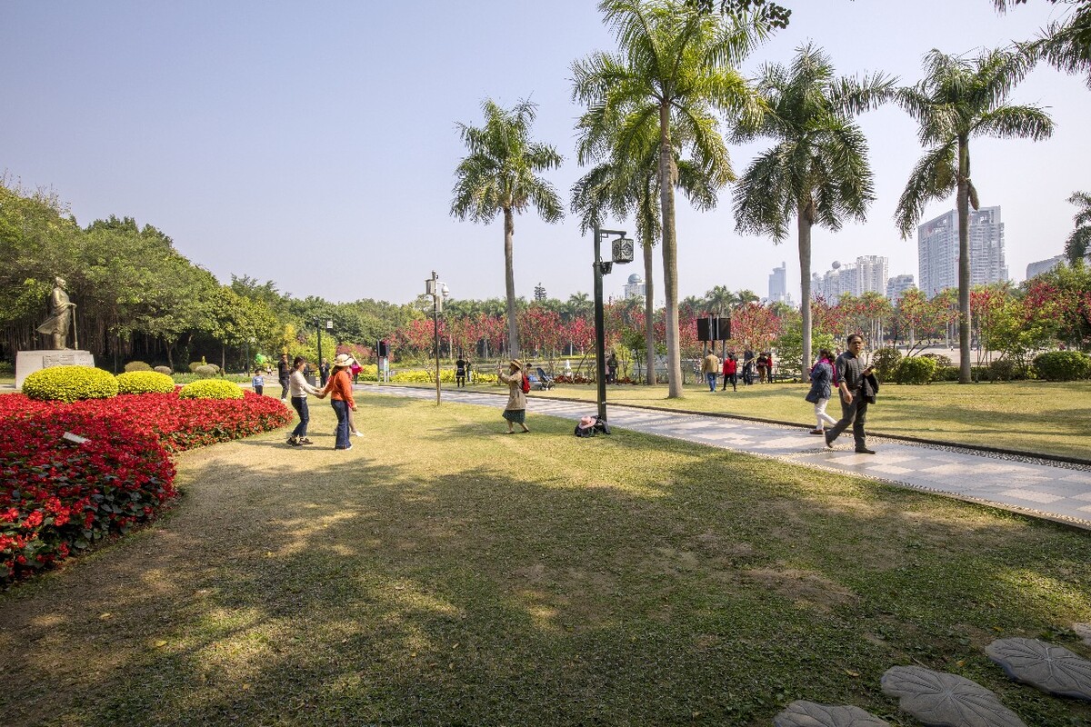 南宁市南湖公园春光明媚百花齐放