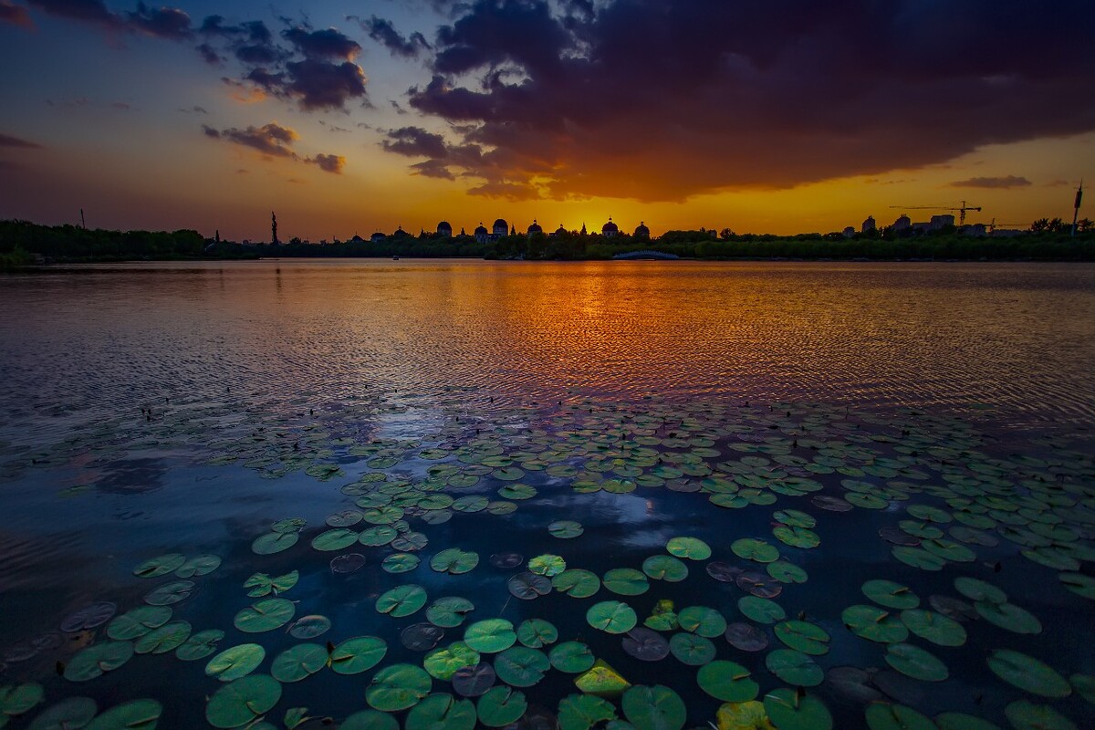 夕阳唱晚图
