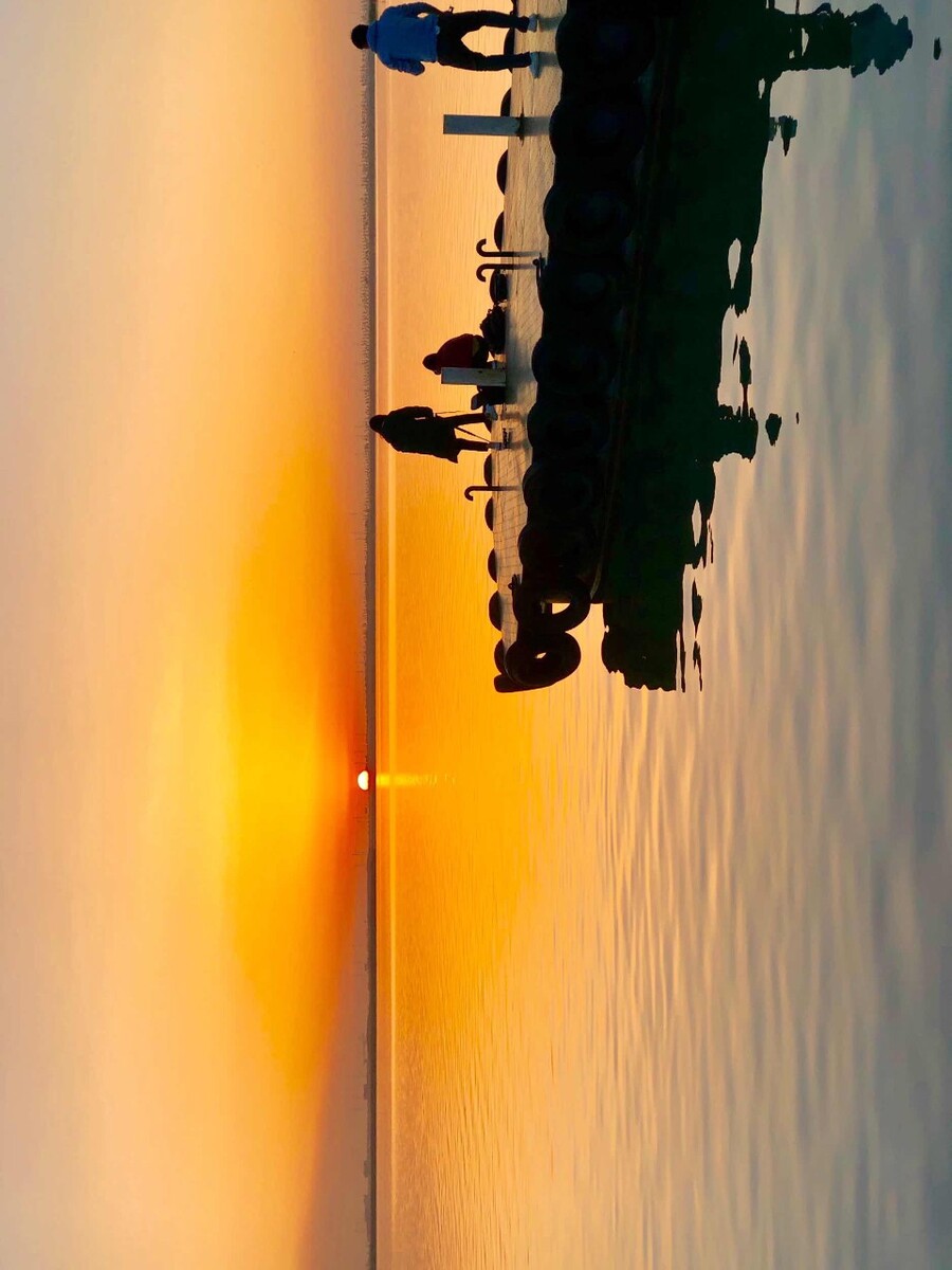 此片拍摄于宁夏石嘴山市沙湖.
