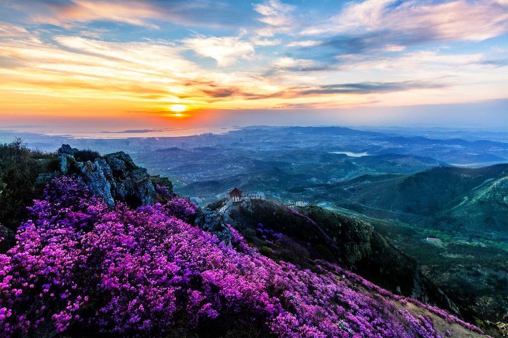 ڴɽ                 