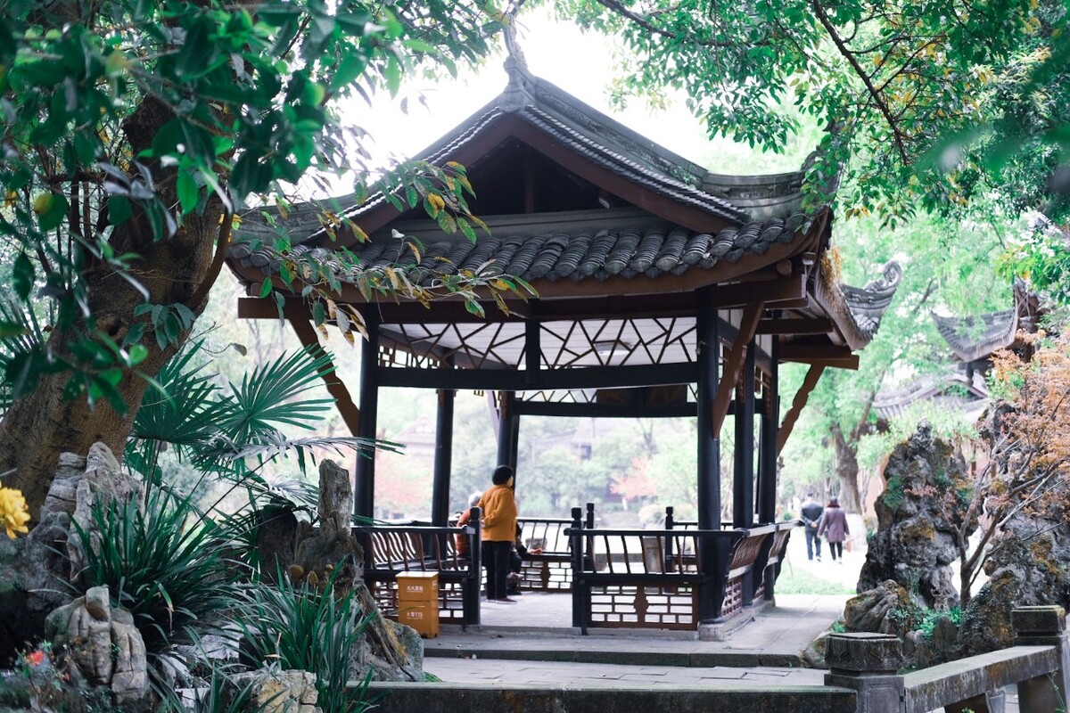 桂湖公园