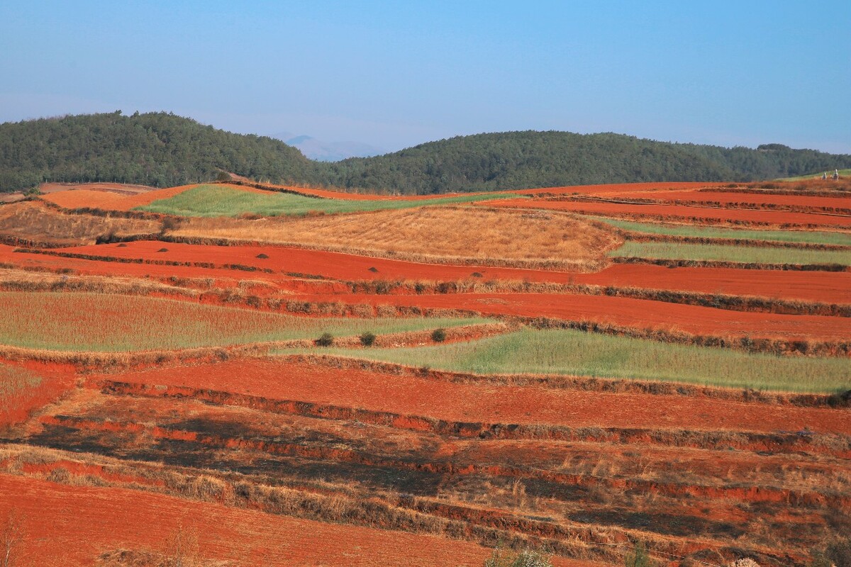 在东川红土地为放羊老大爷拍一组写真