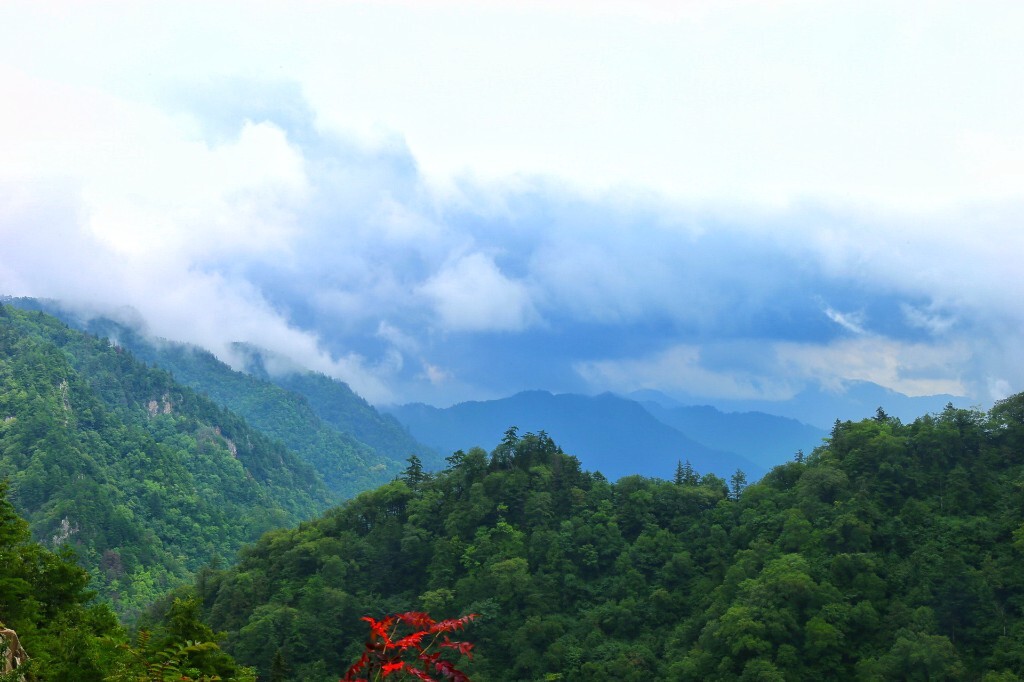 天华山续
