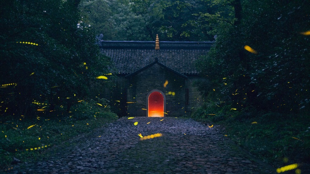 "你给我一个绚烂的秘密,沉睡在仲夏夜里的美丽梦境中.