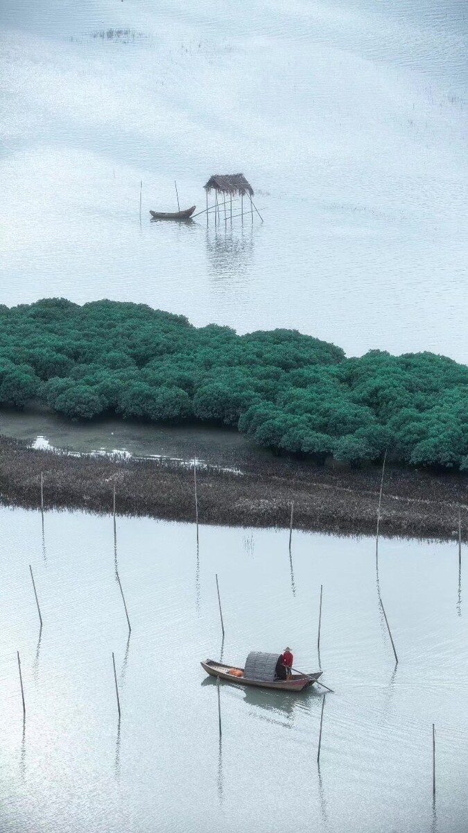 人生海海,山山而川,不过尔尔. - 北方的鱼