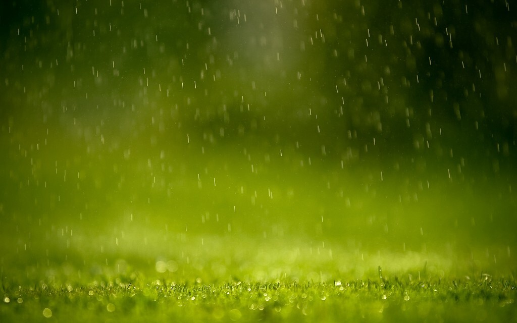 情深深雨蒙蒙唯美的雨季摄影