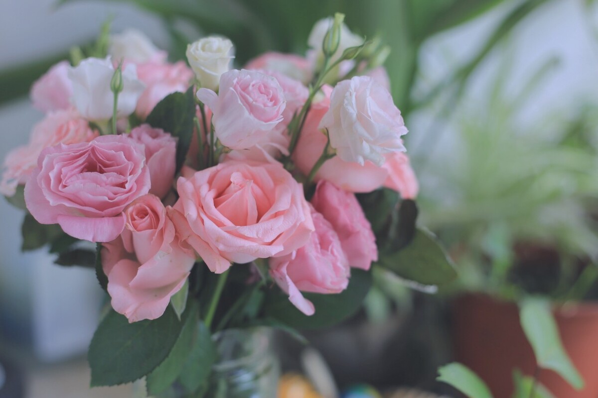 һ һݺ