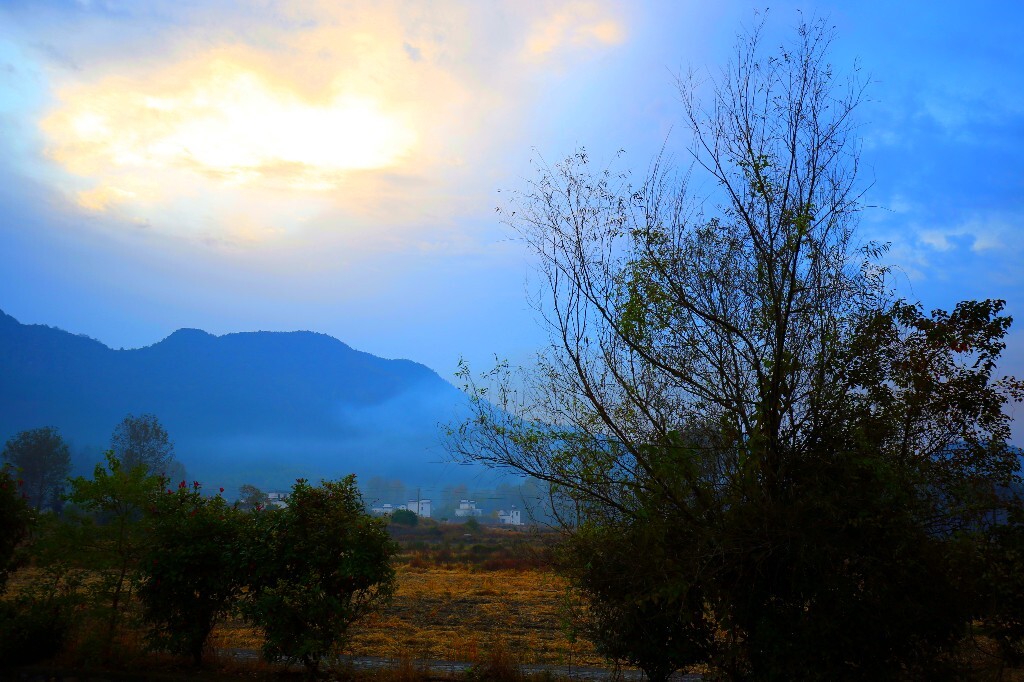 屏山村的早晨