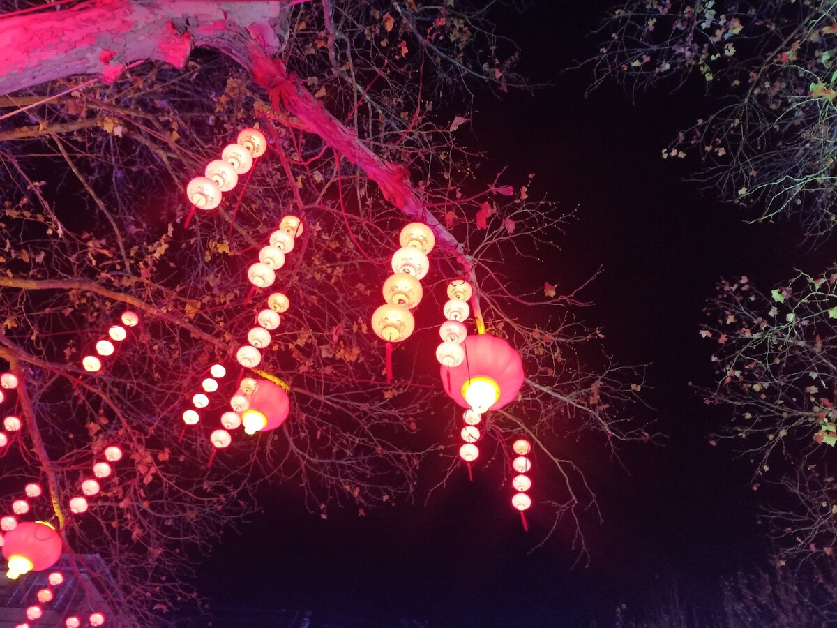 元宵佳节,美丽的城市夜景,元宵花灯夜景