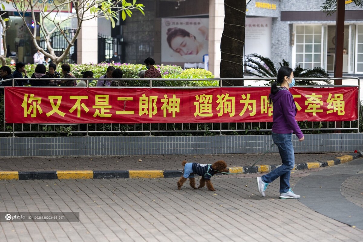 深圳街头宣传遛狗需牵绳标语"你又不是二郎神,遛狗为啥不牵绳"