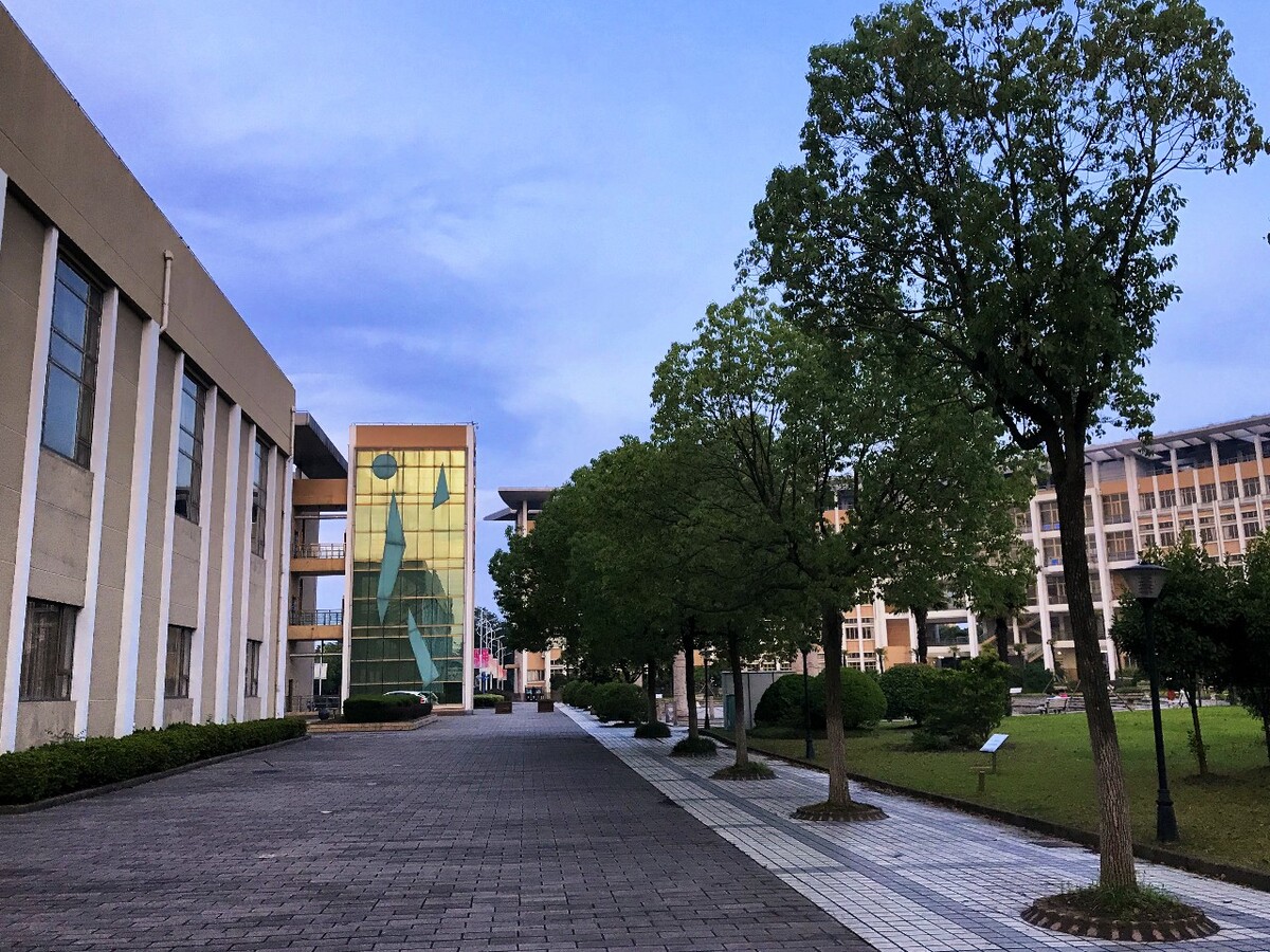 手机拍摄崇明中学校园