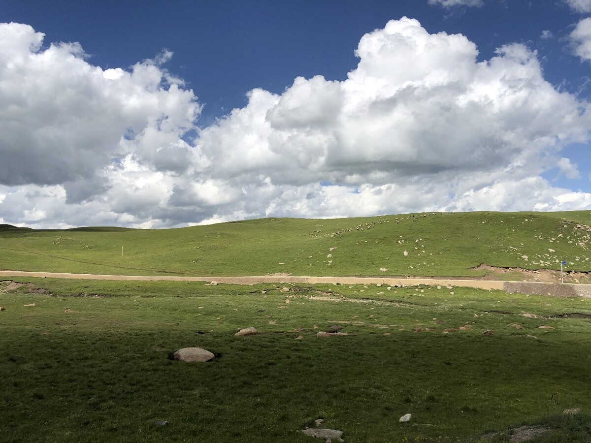 甘肃甘南藏族自治州夏河县七月的草原