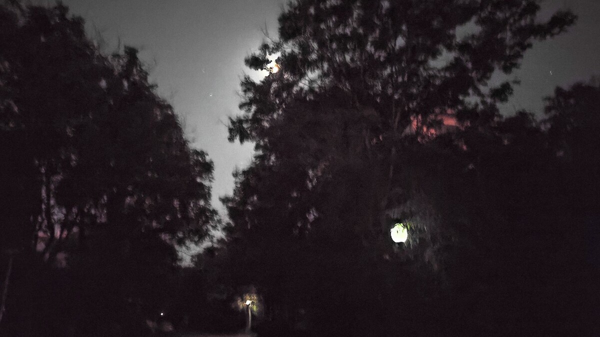 夜黑风高onadarkandwindynight