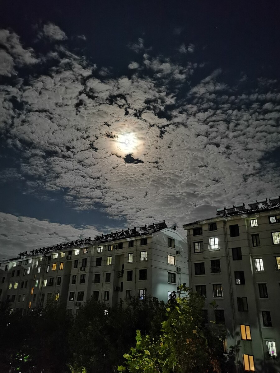 明月夜