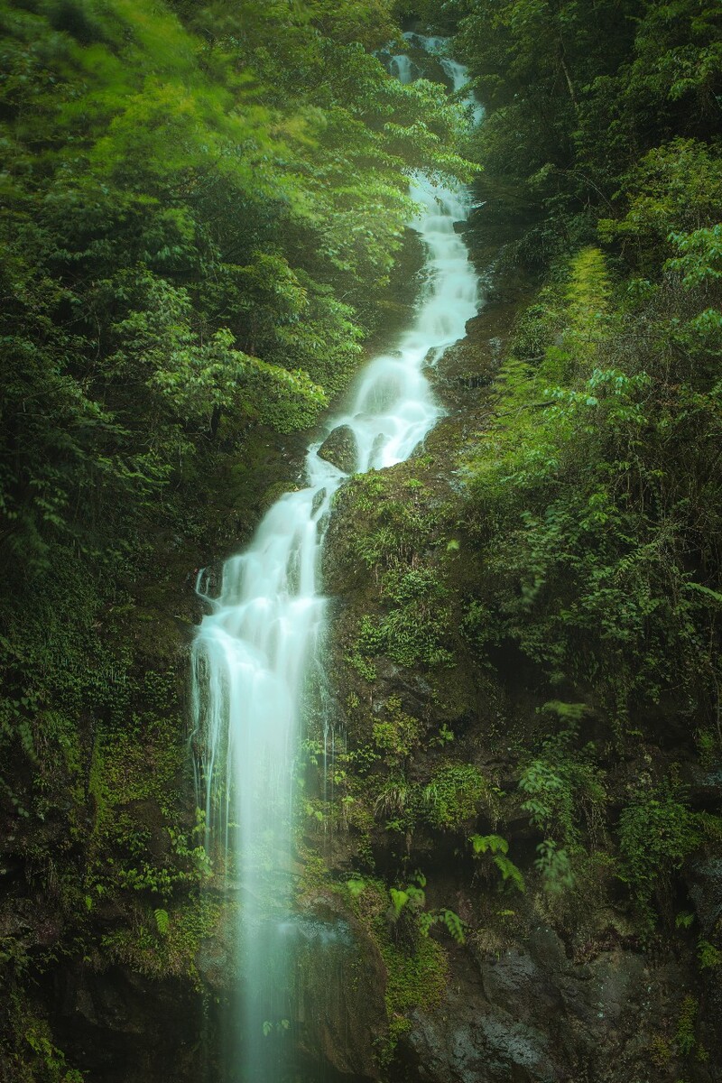 夏日去龙苍沟国家森林公园里感受森呼吸 静静地看着潺潺流水与了无人