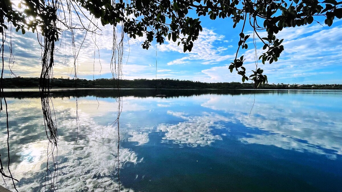 湖光树影
