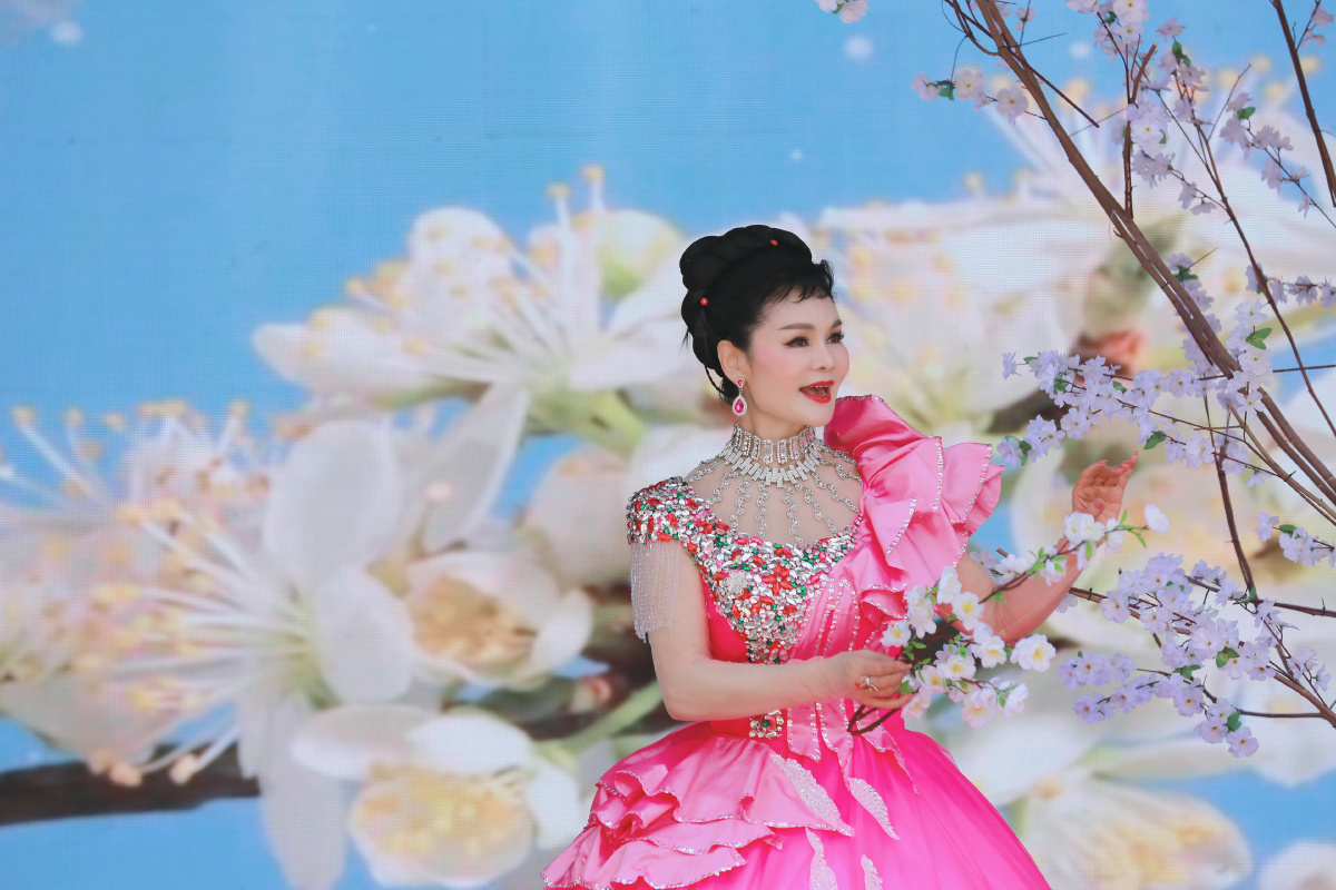 舞台抓拍著名歌唱家张华敏