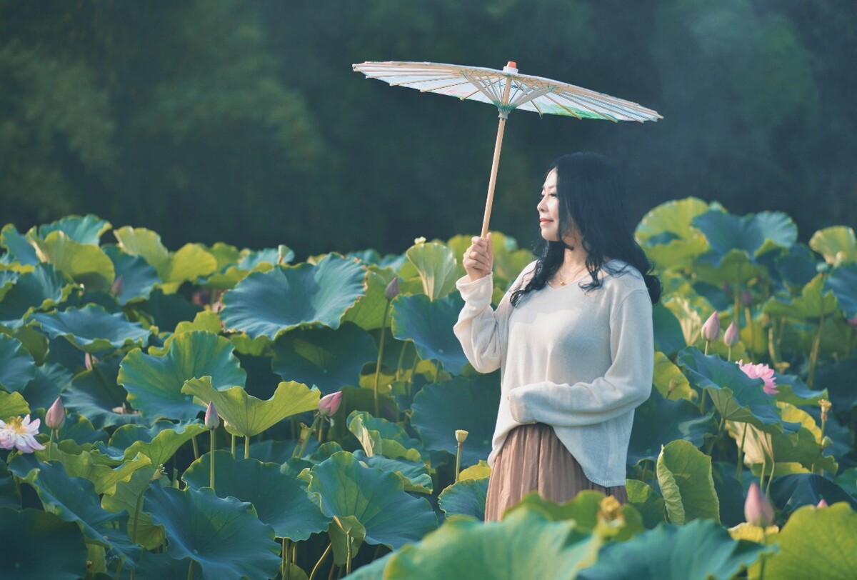 人望山鱼窥荷