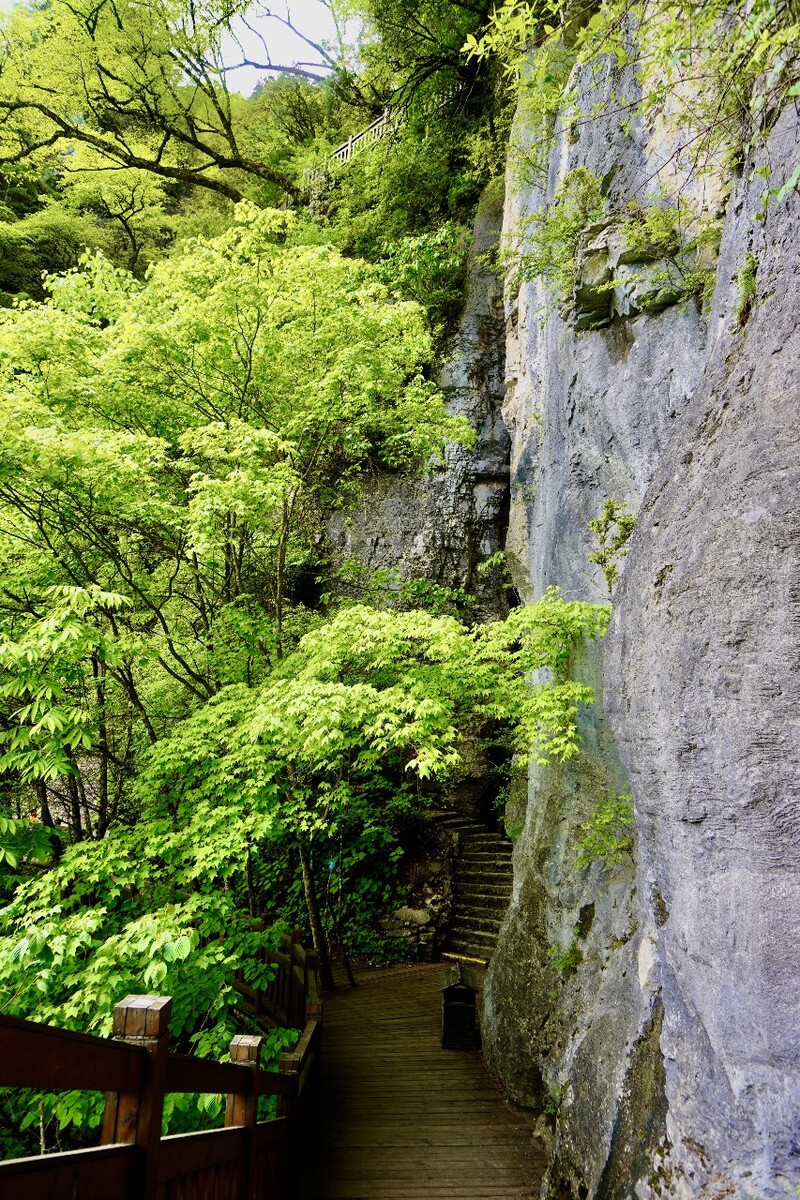 山间小径摄于神农架天燕景区