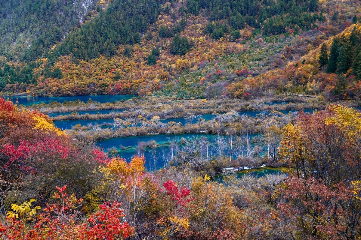 四川阿坝州九寨沟树正沟树正群海