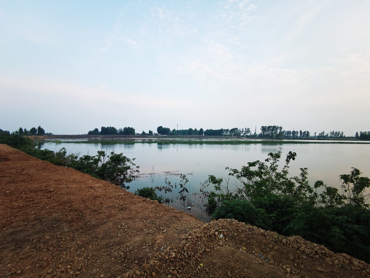 辉县占城共海湿地采煤塌陷区积水形成风光无限生态良好