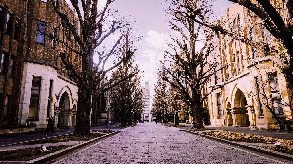 2019日本国公立大学排行_宾法英语名校之光丨THE2019日本大学排名,看看哪