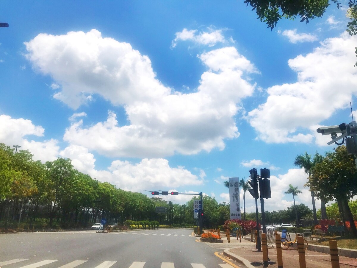 深圳湾望海路沿路各公园的蓝天白云进入5月深圳便开启了酷热模式每天