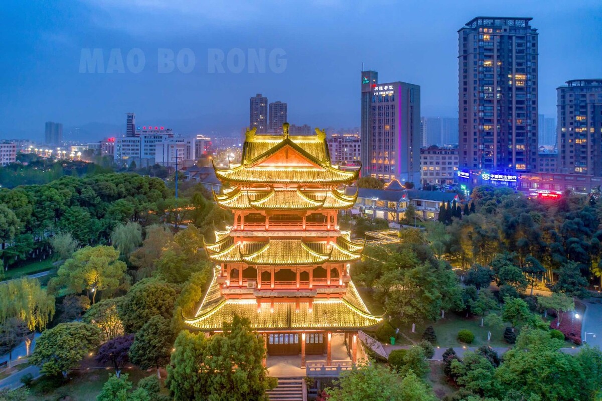玉环公园夜景