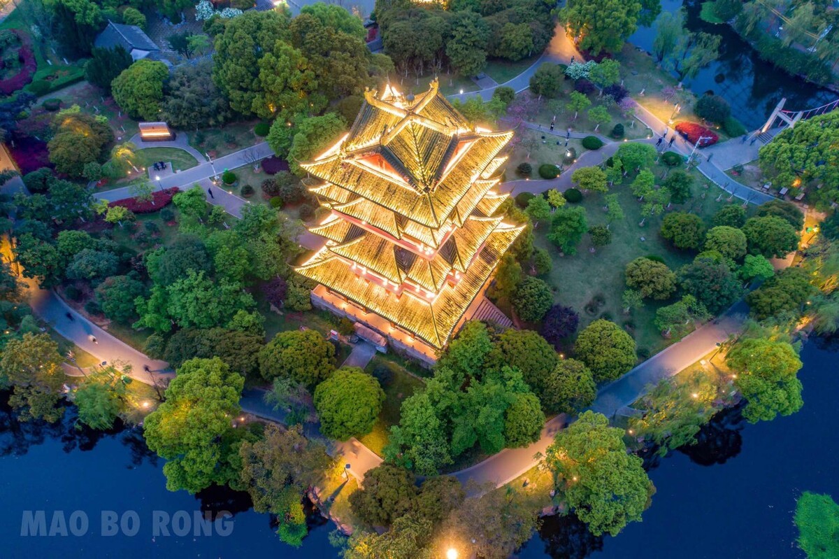 玉环公园夜景
