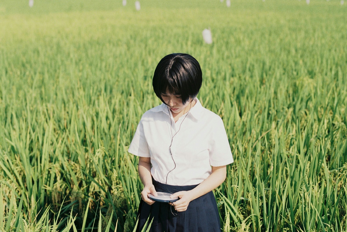 关于莉莉周的一切