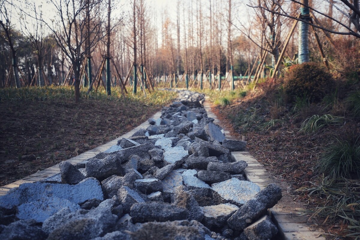 一路坎坷