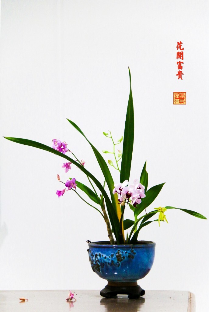 兰花——插花