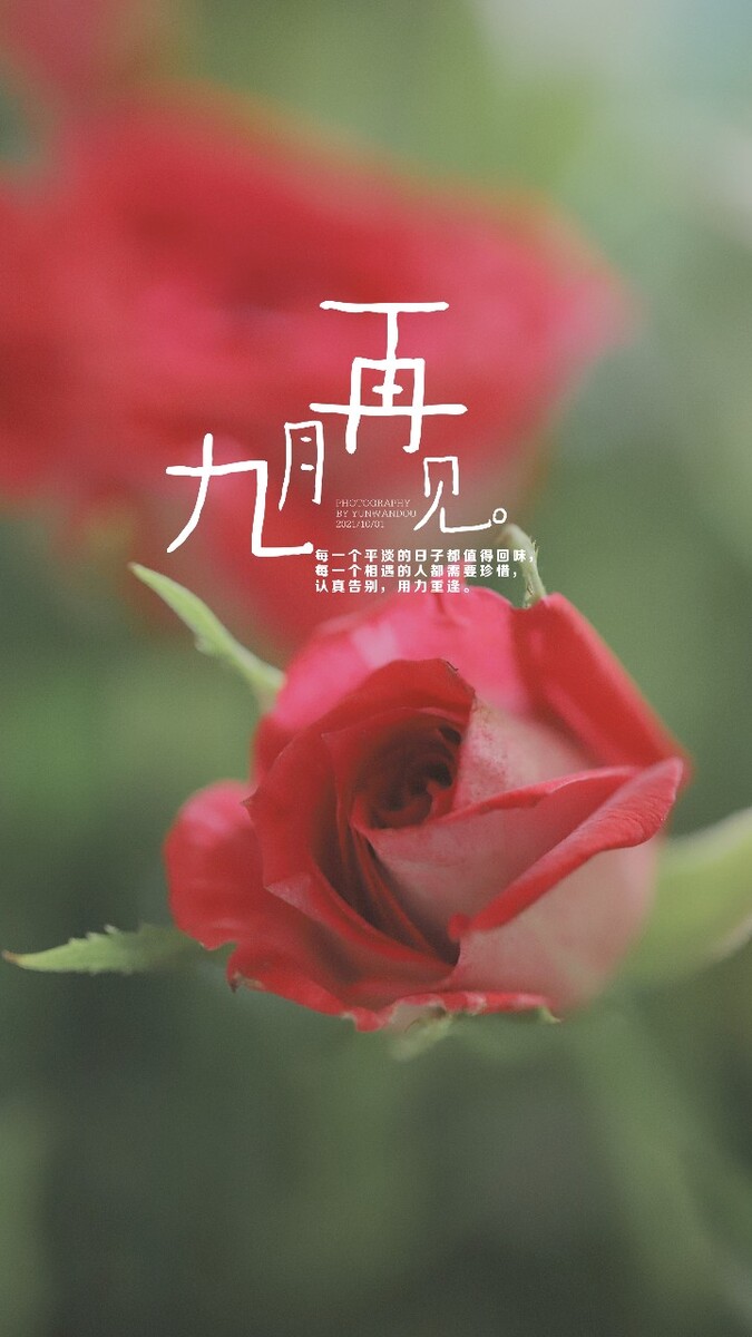 九月再见,十月否极泰来