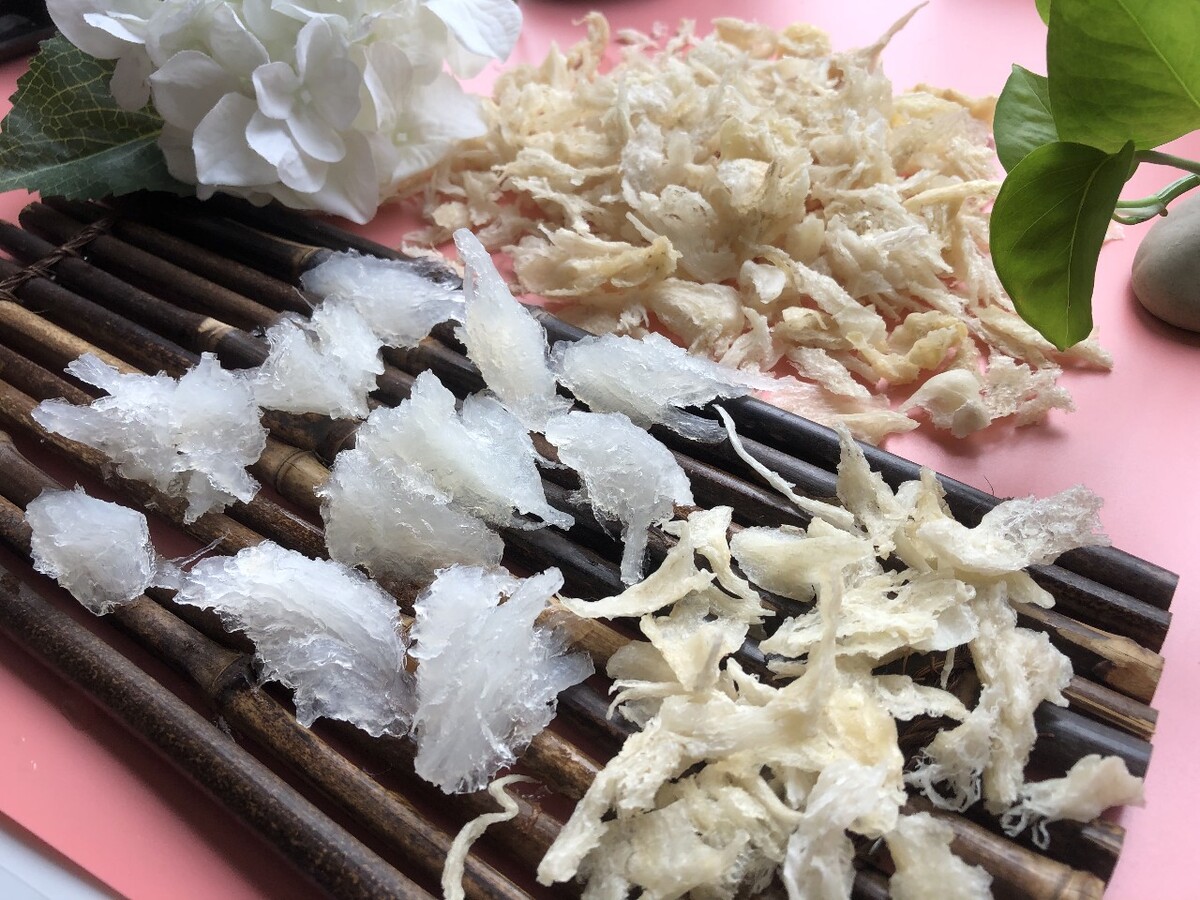 发泡的小燕角