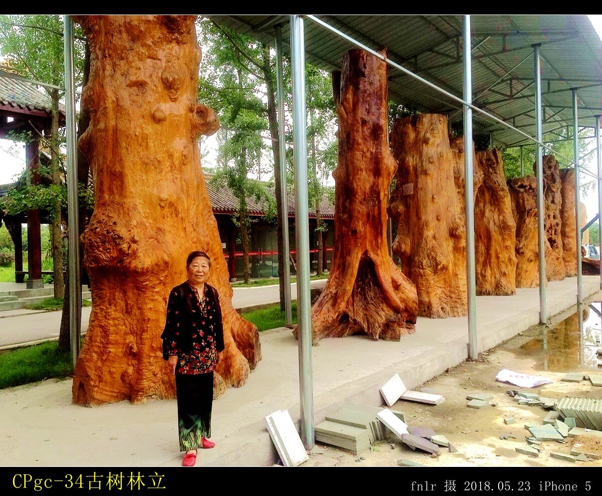 下分三个馆:东方神木馆,千幅唐卡馆,阳友鹤纪念