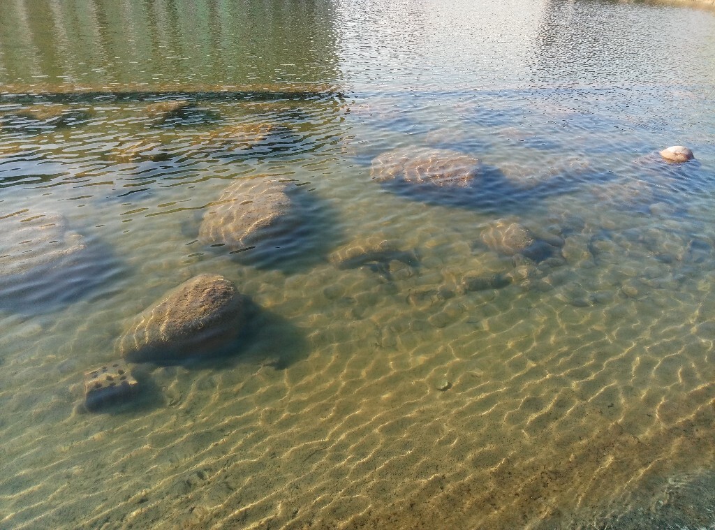 水至清则无鱼                   