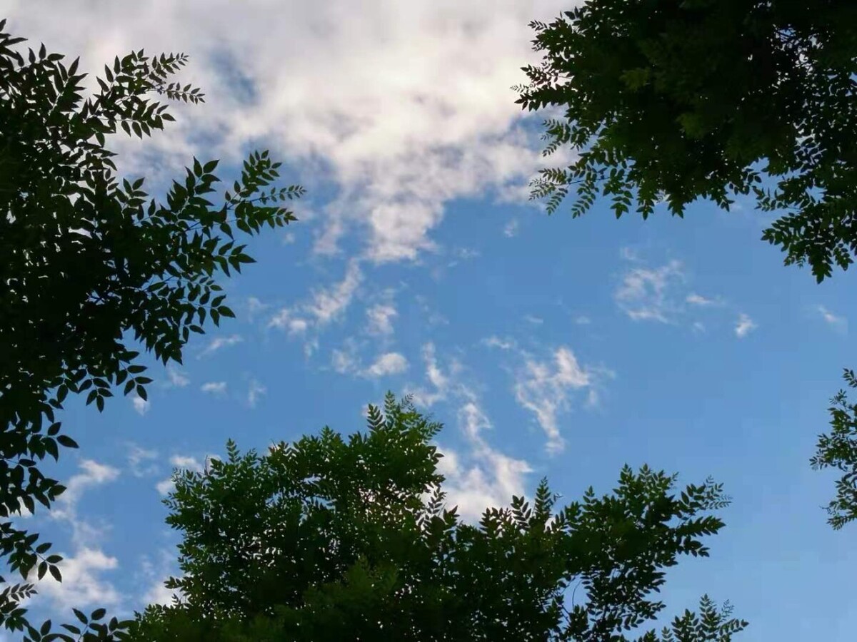 云开雾散